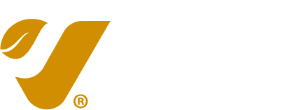 Eterna Vida