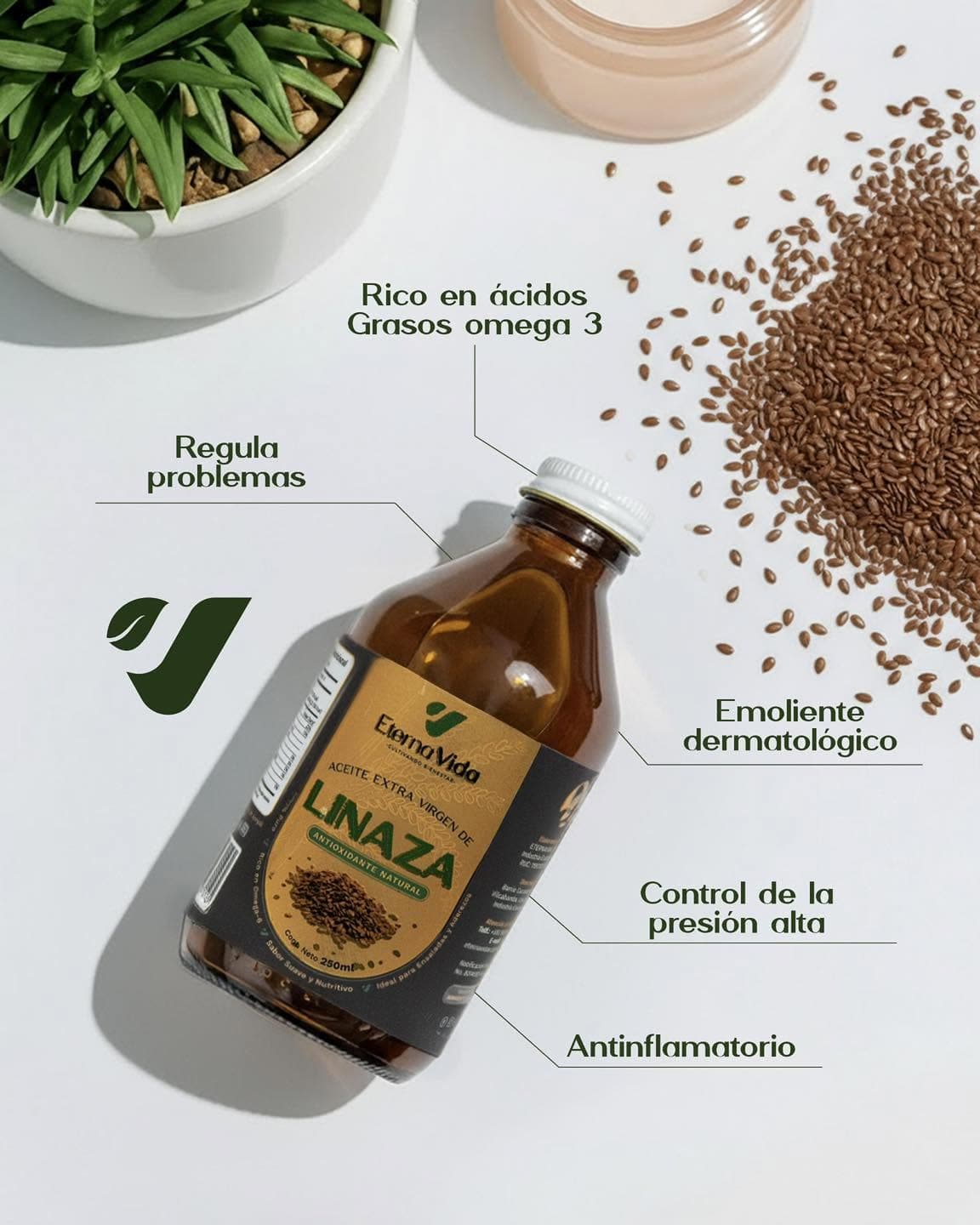 El origen de Eterna Vida